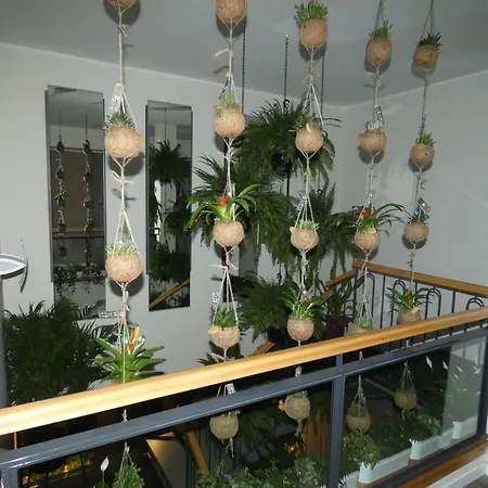B&B Belvedere