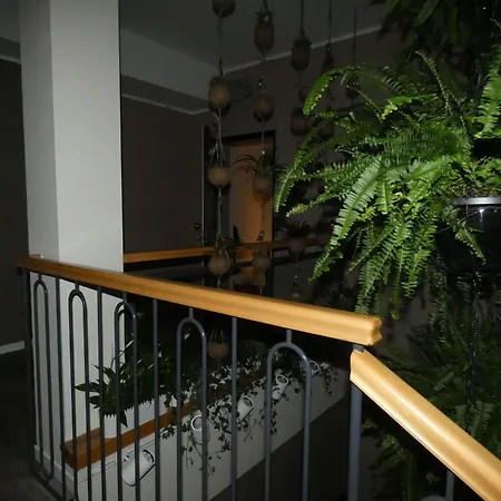 Belvedere B&B