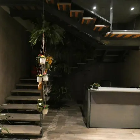 Bed & Breakfast Belvedere *